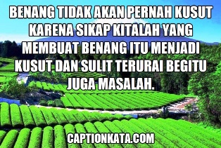 Terlebih pendekatan dari kata kata bijak dan motivasi di dalamnya pun . Caption Dp Bbm Hari Selasa Terbaru Gambar Mutiara Bijak Penyejuk Hati Captionkata Com 2022 Caption Dp Bbm Kata Bijak Terbaru