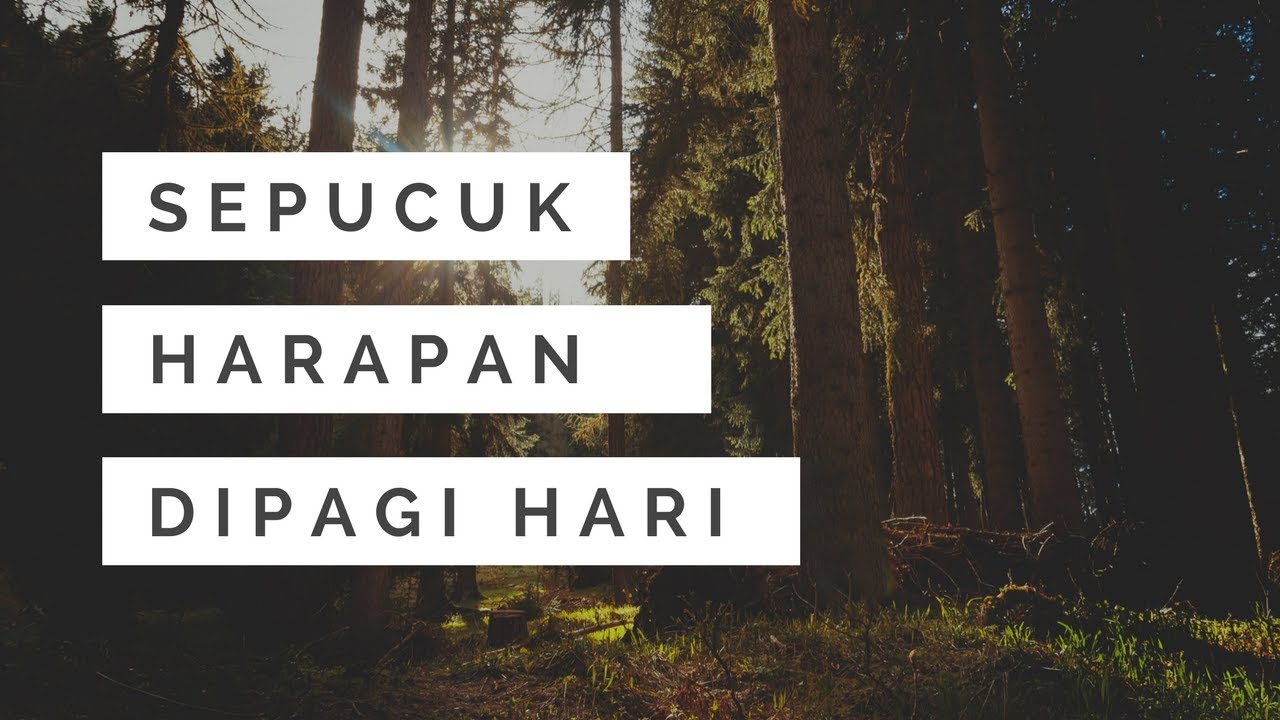 53 kata mutiara pagi hari islami yang menginspirasi, penuh doa dan harapan buat bangkitkan semangat. Motivasi Pagi Hari Singkat Islami Sepucuk Harapan Dipagi Hari Youtube