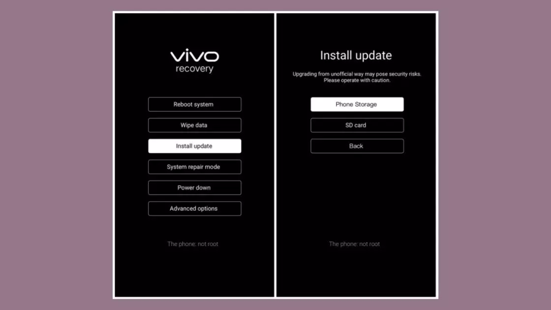 GAMBAR 5 Vivo recovery