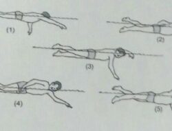 Jelaskan Bagaimana Cara Melakukan Teknik Pengambilan Napas Renang Gaya Bebas