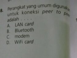 Perangkat Umum yang Digunakan untuk Koneksi Peer-to-Peer Adalah Apa Saja?