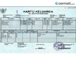 Cek Kartu Keluarga Online Bandar Lampung: Langkah-langkah, Manfaat, dan Tips Efektif