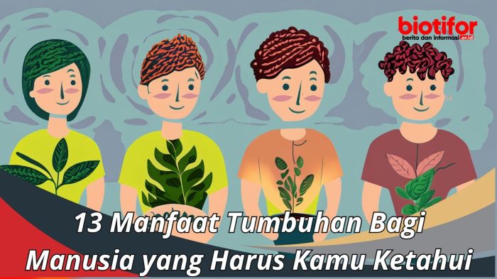 Manfaat angsa bagi manusia