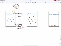 Mengenal Teknik Penjernihan Air: Rahasia Air Segar dan Sehat