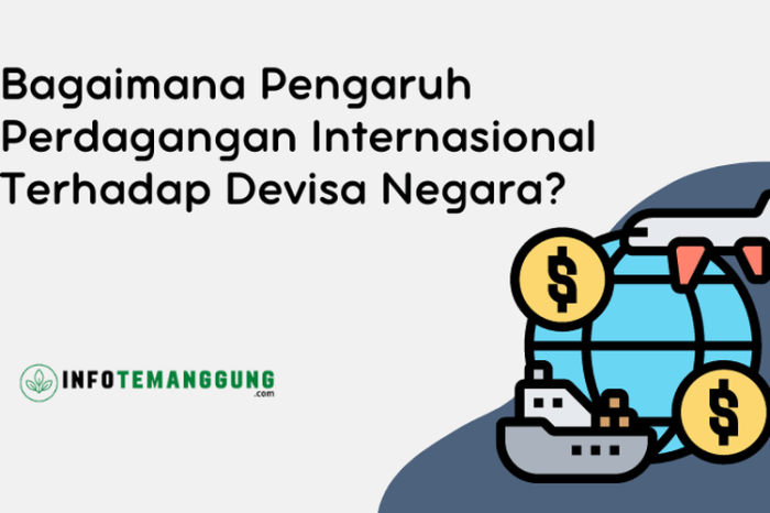 Dalam perdagangan kebijakan internasional kurva impor terhadap pengaruh negeri dihasilkan keterangan barang