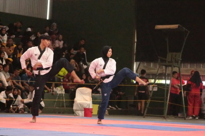 Taekwondo dailysia