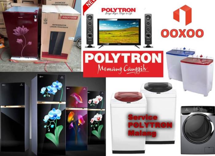 Malang polytron