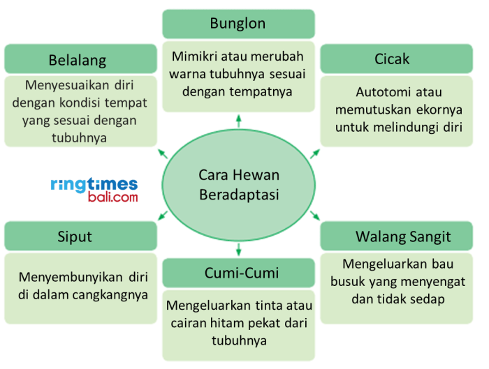 Bagaimana cara siput menyesuaikan diri