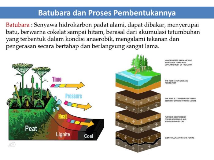 Batubara batu pembentukan bara geologi arang skema posisi bahan belajar ayo pradipta ada tumbuh disebut terjadinya tumbuhan berasal mati terbentuknya