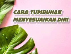 Bagaimana Siput Menyesuaikan Diri dengan Lingkungannya