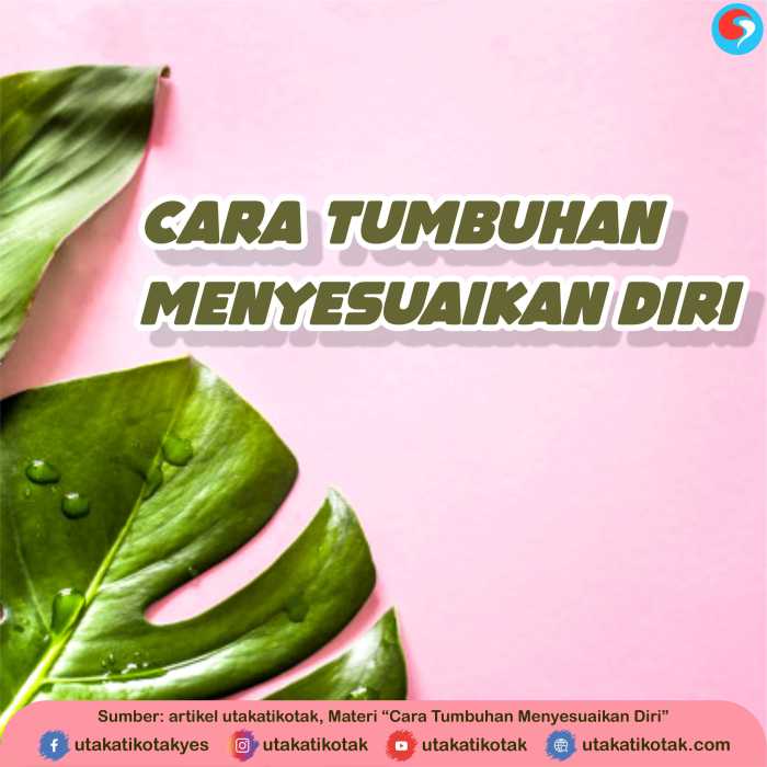 Dengan mulut serangga bentuk macam hewan adaptasi diri menyesuaikan penyesuaian makanannya bermacam sesuai penusuk pengisap penjilat lingkungannya