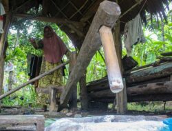 Jeungki Mali Banda Aceh: Memahami Tradisi Budaya yang Kaya dan Menarik