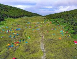 Surya Kencana Travel: Solusi Perjalanan Nyaman dari Balikpapan ke Sangatta