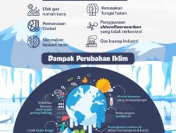 Bagaimana Pengaruh Geografis Daerah Tempat Tinggalku Terhadap Kekayaan Alamnya