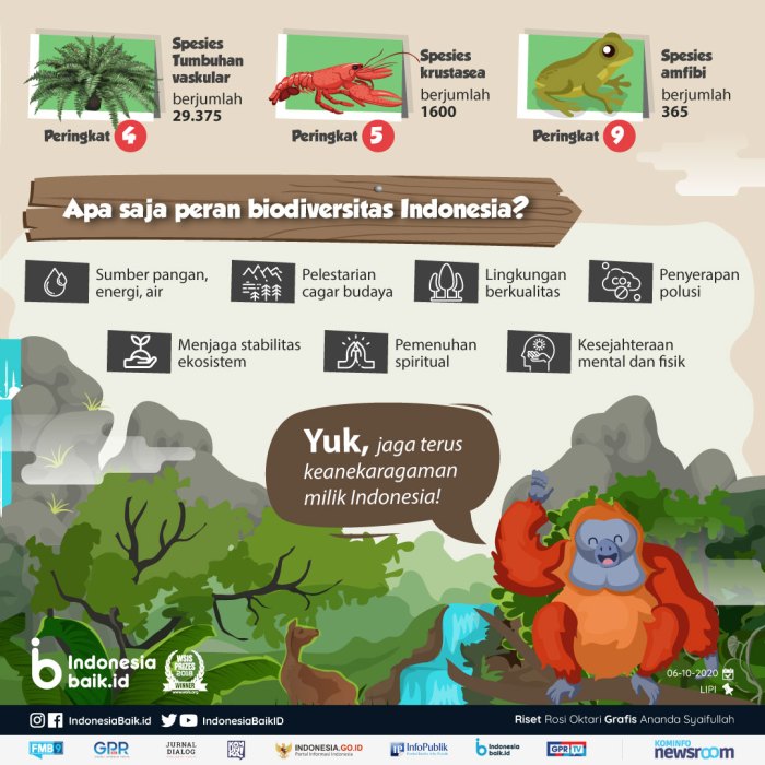 Biodiversitas infografis terbesar indonesiabaik ananda syaifullah