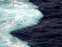 Laut Mati: Rahasia di Balik Julukan Laut yang Tak Bernyawa