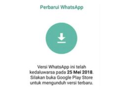 Bagaimana Cara Mengatasi WA Kadaluarsa