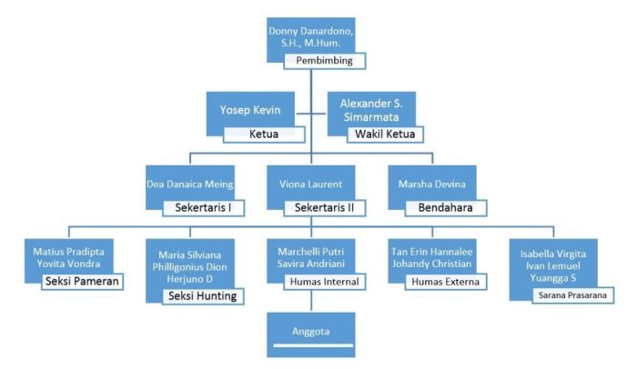 Organisasi struktur fungsional bentuk perusahaan organizational divisional produk