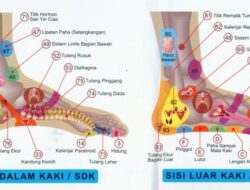 Menjelajahi Refleksi dalam Pameran Seni