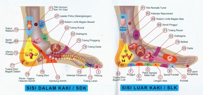 Bagaimana refleksi dalam pameran