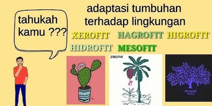 Tumbuhan adaptasi materi subtema berikut