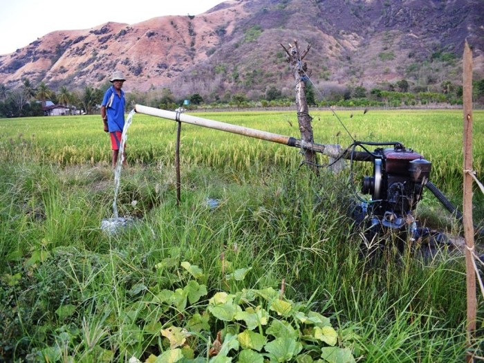 1 kotak sawah berapa meter