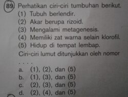 Memahami Arti dan Penggunaan Ditunjukkan Oleh Nomor