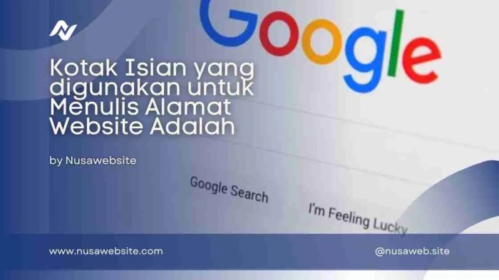 Kotak isian yang digunakan untuk menulis alamat website adalah