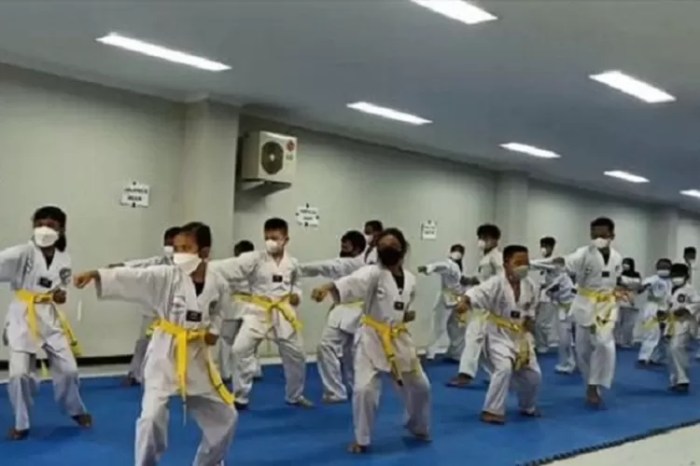 Taekwondo