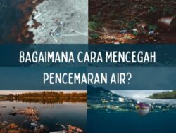 Bagaimana Cara Mengatasi Pencemaran Air