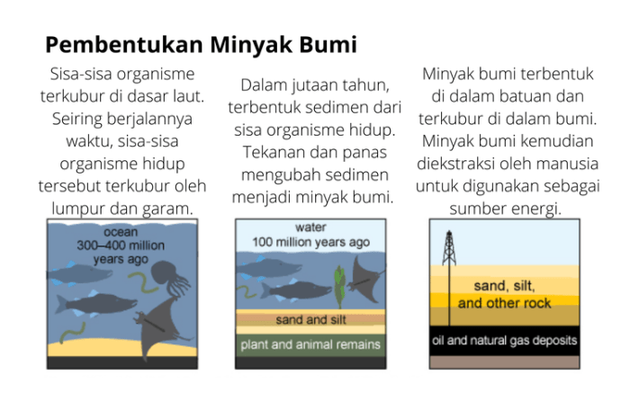 Minyak proses bumi pembentukan alam dasar mentah petroleum migas ilustrasi terjadinya lengkap energi geografi laut mati materi ganggang pengertian juga