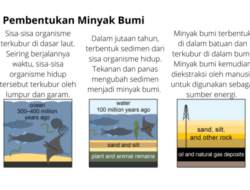 Bagaimana Proses Pembentukan Minyak Bumi