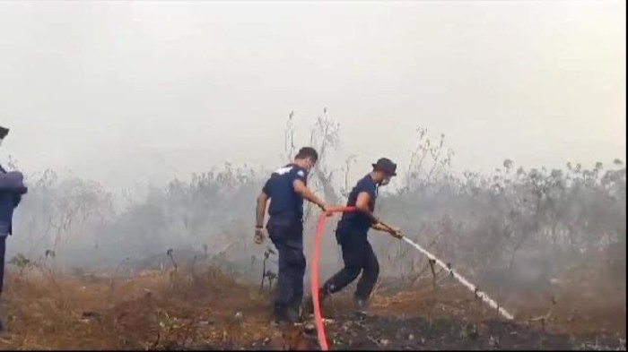 Kebakaran bandar lampung