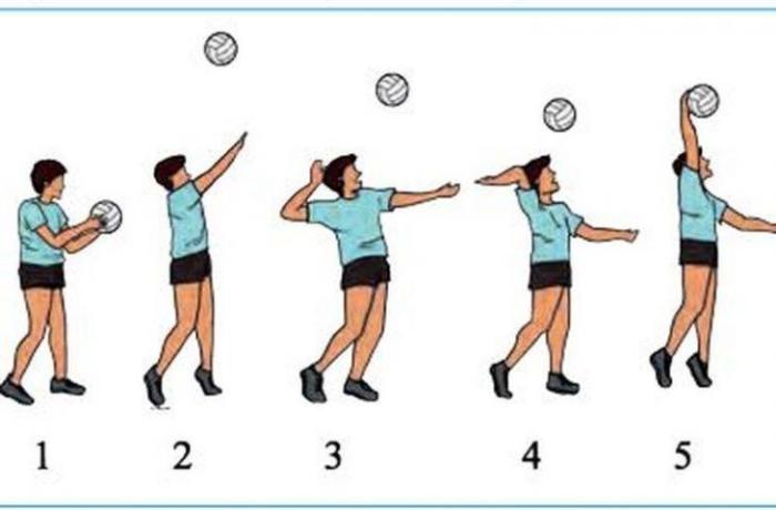 Teknik voli bola servis bawah battuta volleyball dasar underhand fundamentals pallavolo permainan ilustrasi bermain dig overhand penjelasan beserta