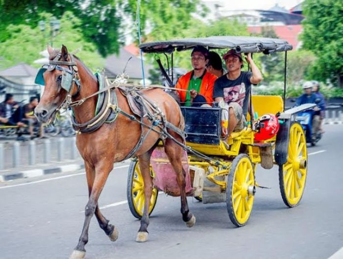 Kereta kuda sewaan seperti dokar di yogyakarta