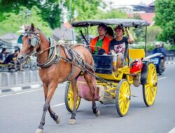 Kereta Kuda Sewaan Seperti Dokar di Yogyakarta: Jelajahi Pesona Kota dengan Sentuhan Tradisional