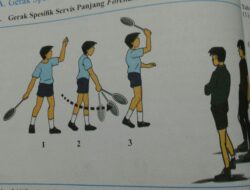 Kuasai Empat Prinsip Dasar Gerakan Pukulan Backhand Topspin