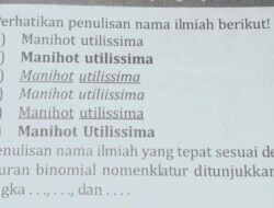 Bagaimanakah Tata Cara Penulisan Nama Ilmiah? Berikan Satu Contohnya