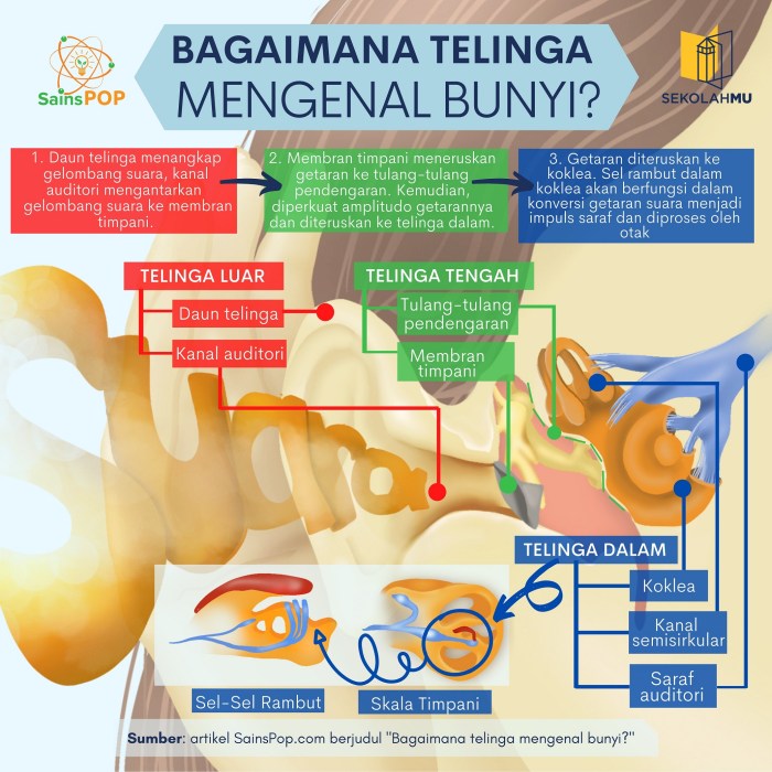 Tata suara bagaimana caranya merancang tujuan lakon suatu melatarbelakangi