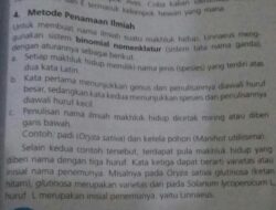 Bagaimana Tata Cara Penulisan Nama Ilmiah Berikan Satu Contohnya