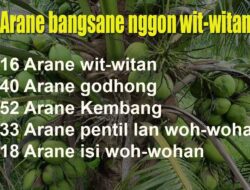 Wit Krambil Arane: Makna Filosofi dan Relevansi dalam Budaya Jawa