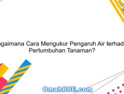 Bagaimanakah Cara untuk Mengetahui Pengaruh Air terhadap Pertumbuhan Tanaman