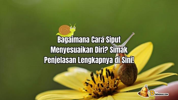 Diri tumbuhan menyesuaikan lingkungannya kelas