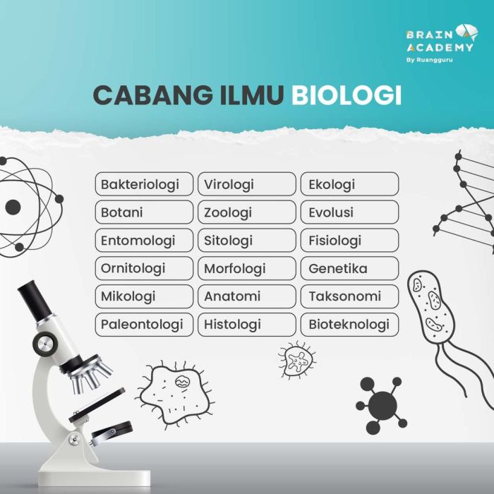 Bagaimana objek kajian biologi pada tingkat sel