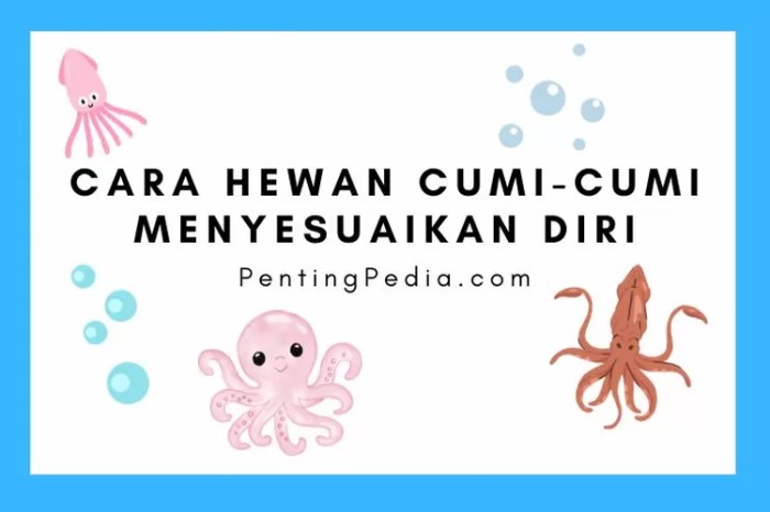 Cumi ikan tinta cara manfaat gambar fungsi squid dari laut binatang sotong perbedaan molusca gurita hewan memasak tentakel sea membersihkan