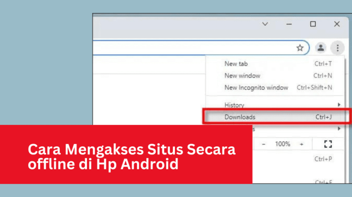 Jelaskan bagaimana cara mengakses situs secara offline