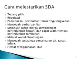 Bagaimana Cara Melestarikan Sumber Daya Alam (SDA)