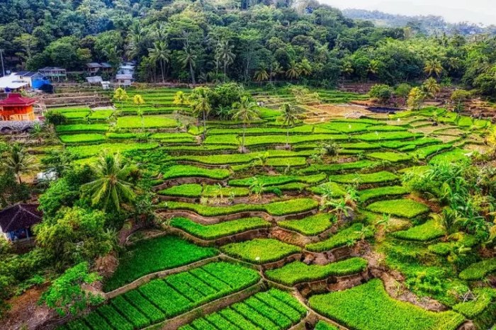 Bagaimana cerita asal mula daerah tempat tinggal kalian