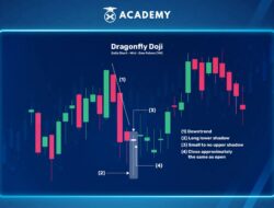 Memahami Arti Bibarokati dalam Bahasa Indonesia