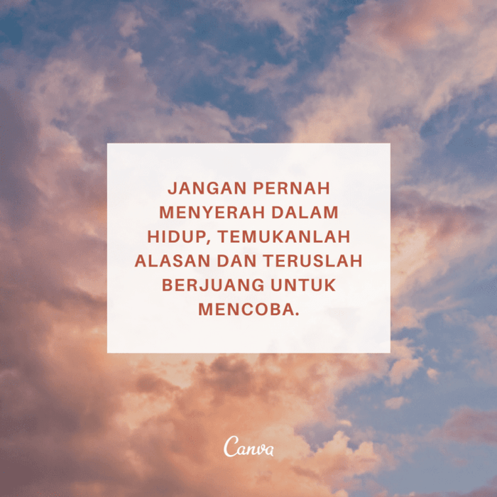 Kata bijak semangat motivasi kumpulan terlengkap